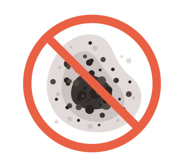 Mold Remediation for Rental Properties in Monticello, GA