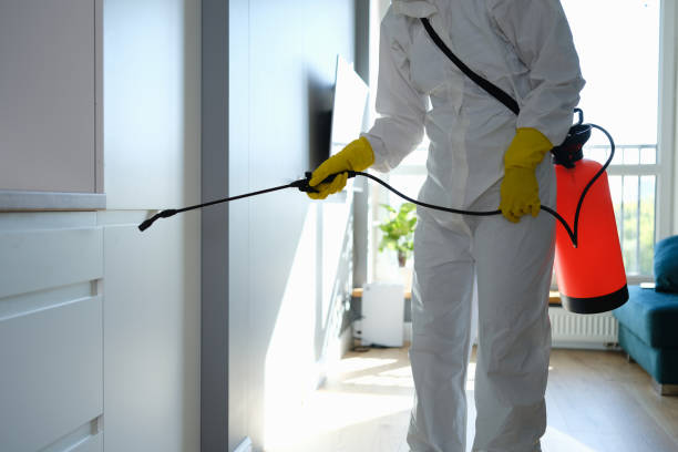 Best Airborne Mold Testing  in Monticello, GA