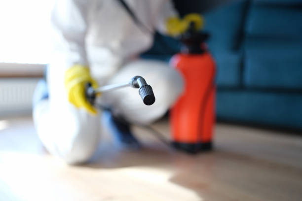 Best Real Estate Mold Inspection  in Monticello, GA
