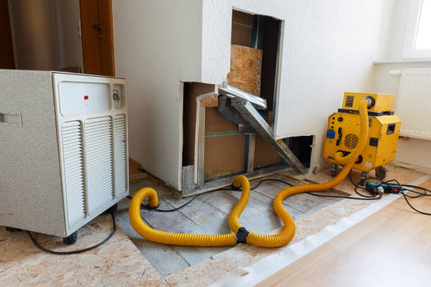 Best Mold Remediation for Rental Properties  in Monticello, GA
