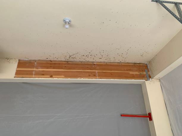 Dehumidification Services in Monticello, GA