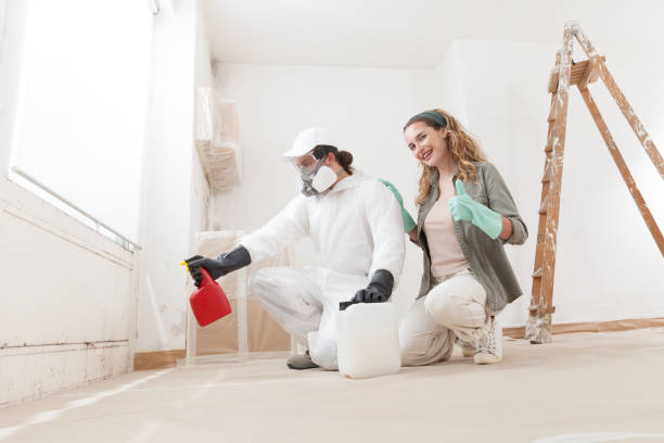Trusted Monticello, GA Mold Removal Experts